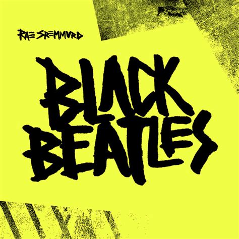 rae sremmurd feat gucci mane black beatles discogs|rae sremmurd black beatles mp3 download.